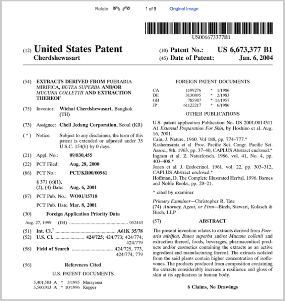 patent