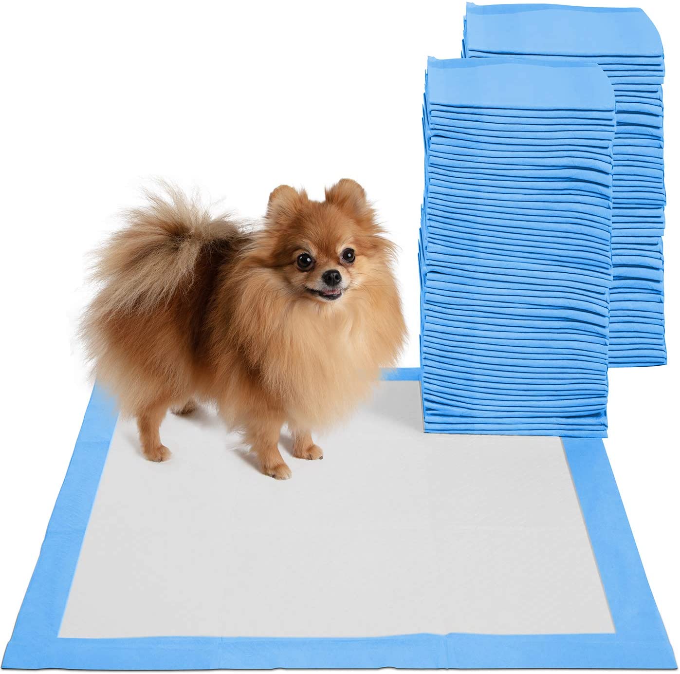 Puppy Tearing Up Pee Pad? See What to Do