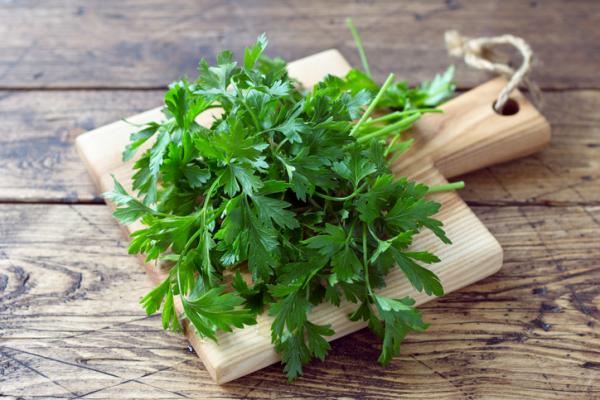 Ways To Preserve Coriander