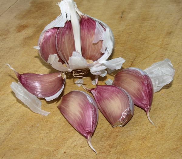 How to Make Garlic Last for Long The Cop Cart