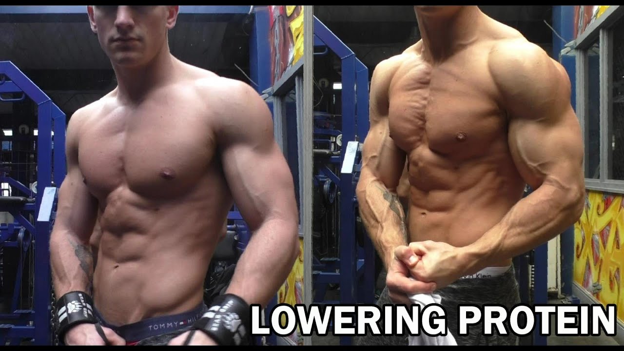 A Brief Guide to Low Protein Bodybuilding - The Cop Cart