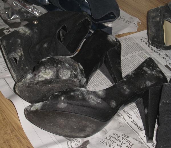 How to Remove Mold Stains from Shoes The Cop Cart