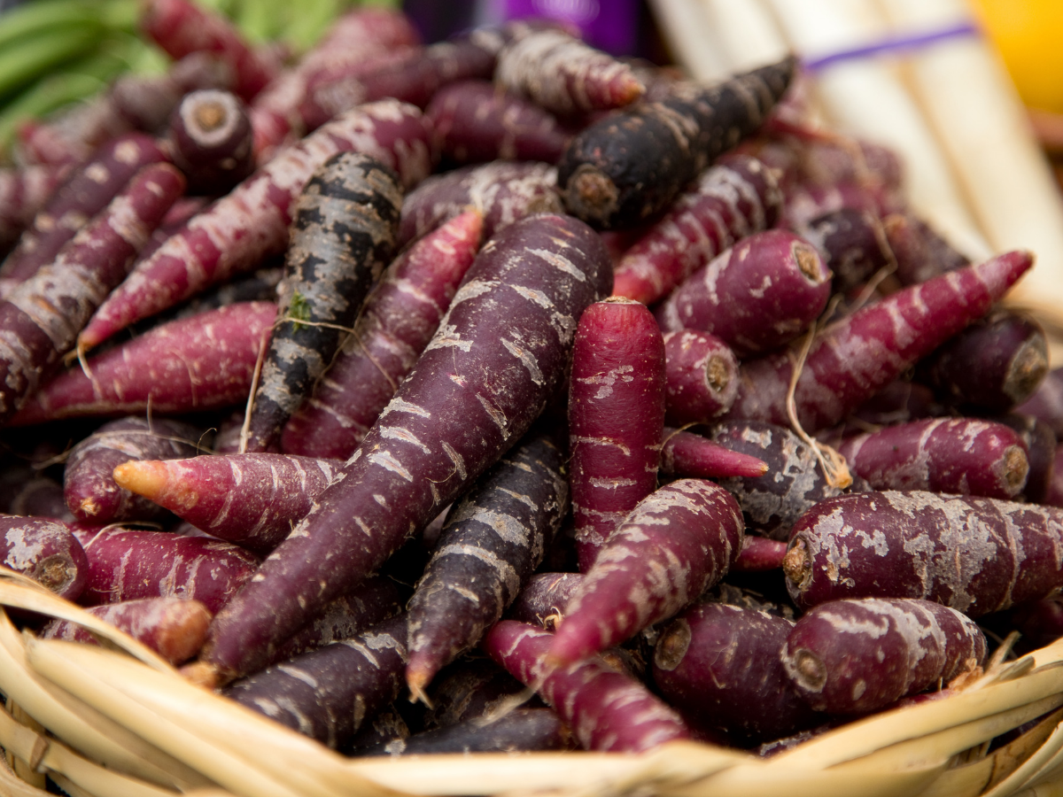 Purple Carrot Benefits - Learn More Here