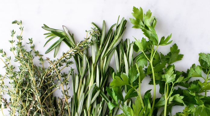 How To Preserve Herbs For A Long Time Without Losing Vitamins