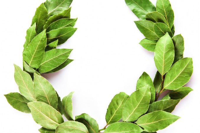 Here Is How To Make A Laurel Wreath For Graduation